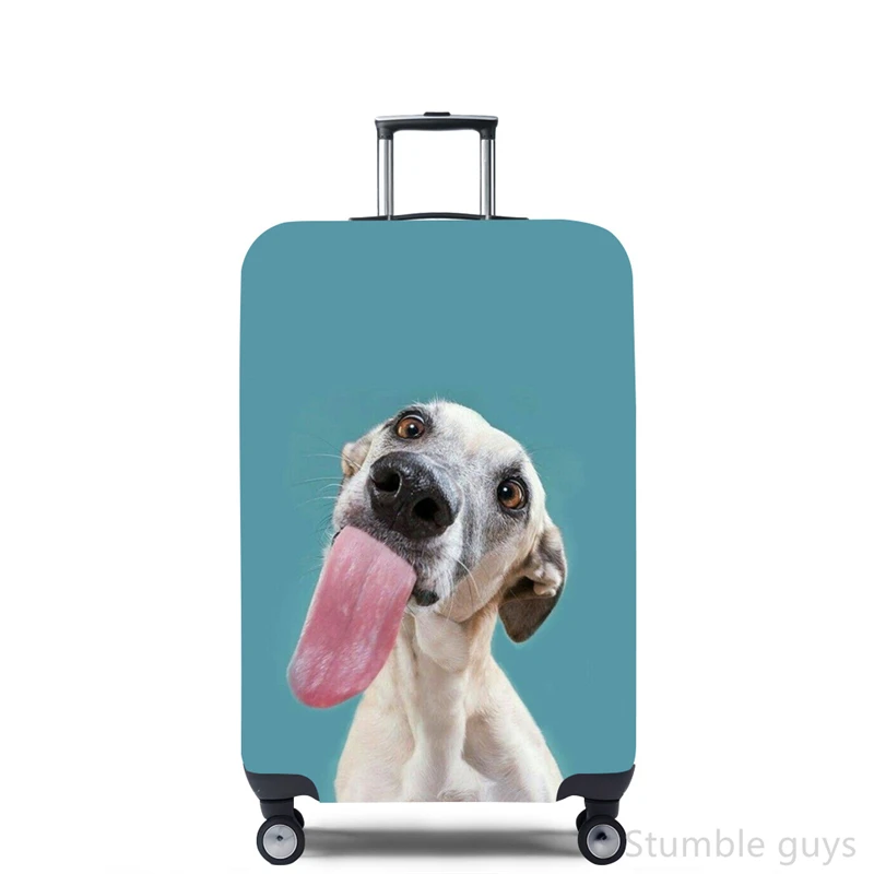 Stretchy Luggage Cover Protect – Travel Accessories Needed recenzja i cena